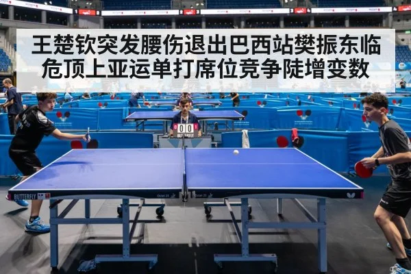 王楚钦突发腰伤退出巴西站樊振东临危顶上亚运单打席位竞争陡增变数
