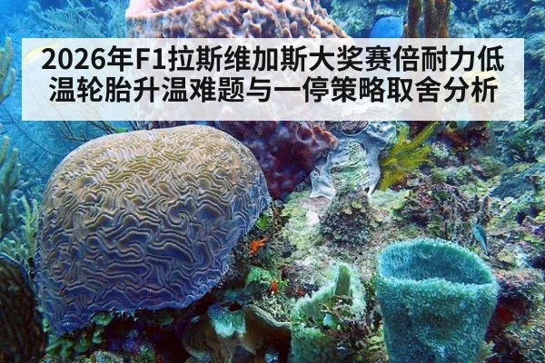 2026年F1拉斯维加斯大奖赛倍耐力低温轮胎升温难题与一停策略取舍分析